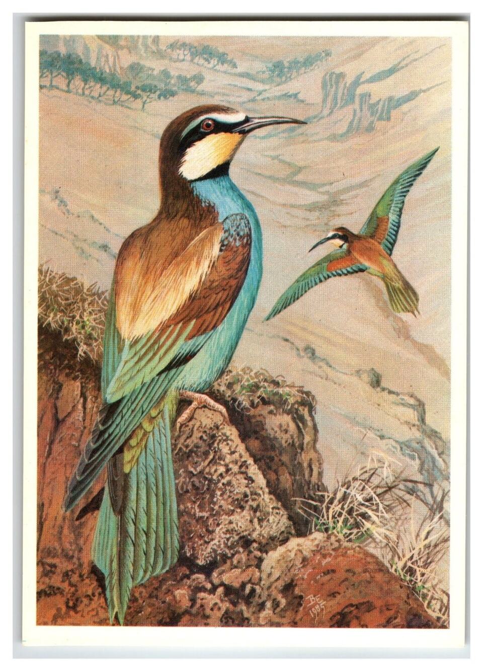 1987 Soviet Golden Bee-eater Postcard V. Egorov Wildlife Bird Art USSR